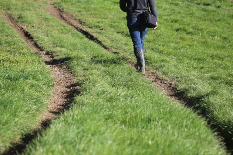 person in black jacket walking on green grass field during daytime