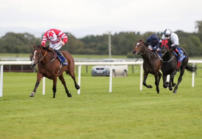 Weekly Racing News | Limerick Jockeys to the fore