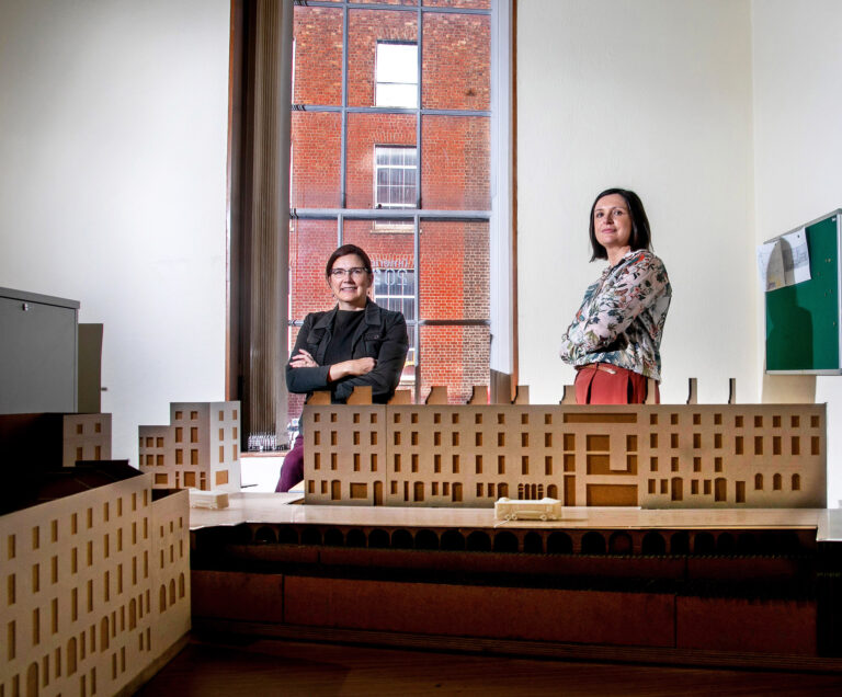 Pilot projects to set the tone for reviving Georgian Limerick
