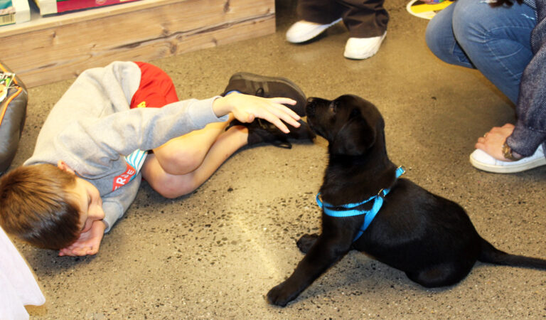 Maxi Zoo brings the joy of a dog to a very brave boy