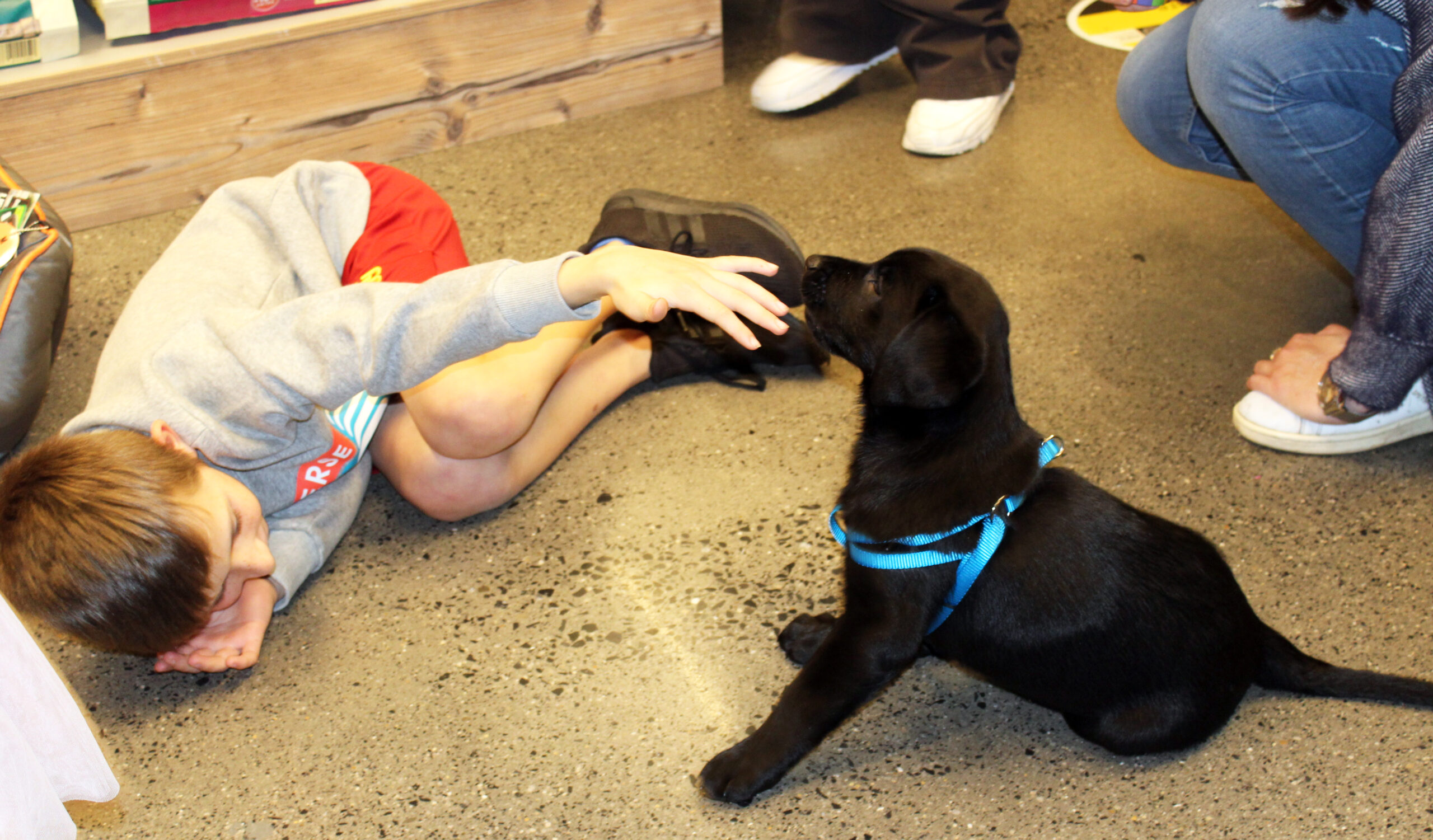 Maxi Zoo brings the joy of a dog to a very brave boy