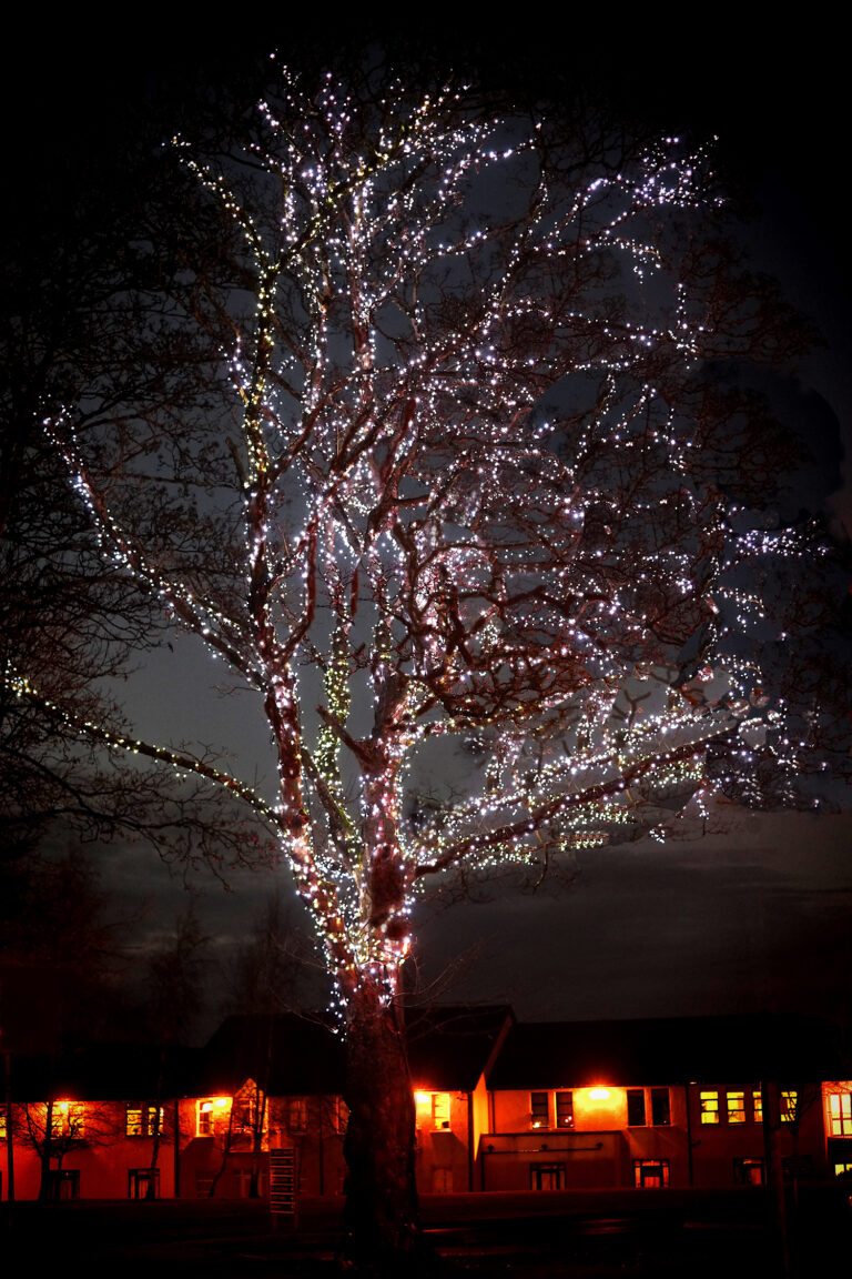 Light Up A Memory 2020 ceremony at Milford Hospice goes virtual