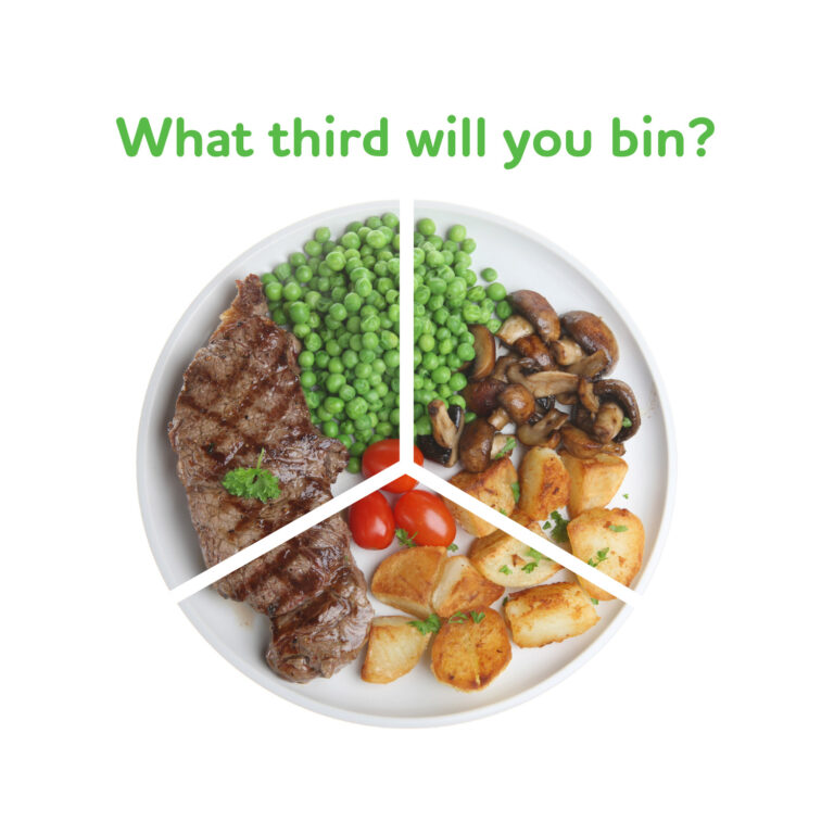 Limerick Waste Awareness Week focuses on helping people make greener choices