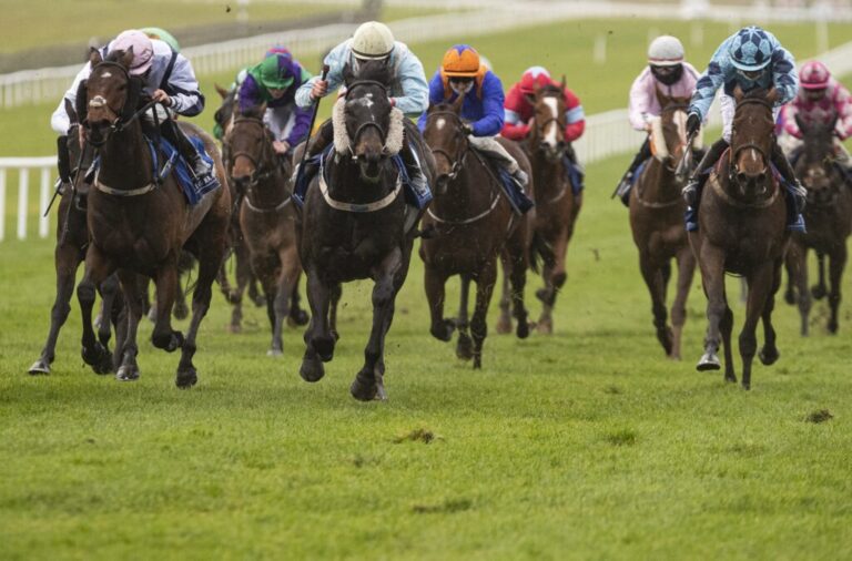 Weekly Racing News: Notable success for Limerick contingent