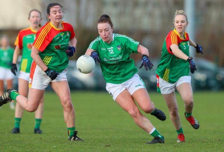 Fermanagh too strong for Limerick Ladies
