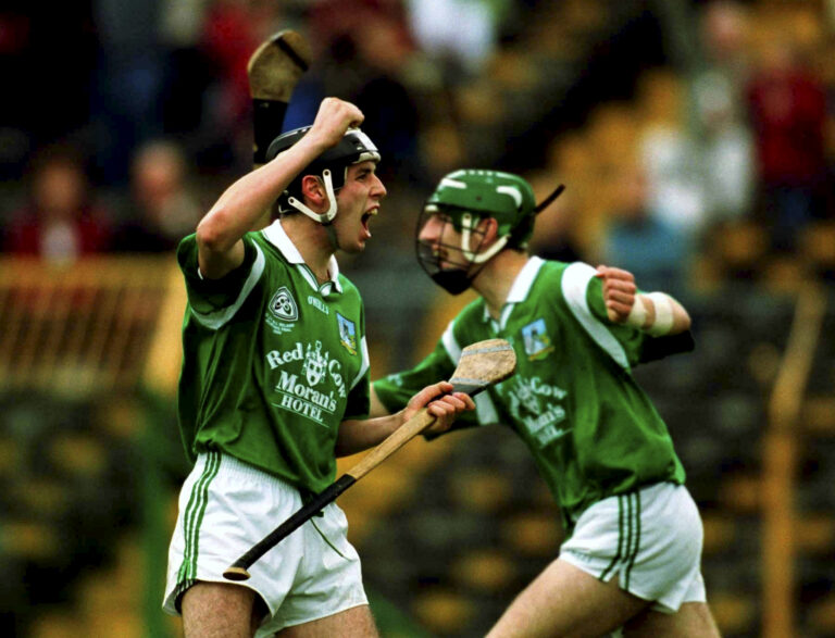 Limerick minor hurlers bow out of Munster after defeat to Waterford