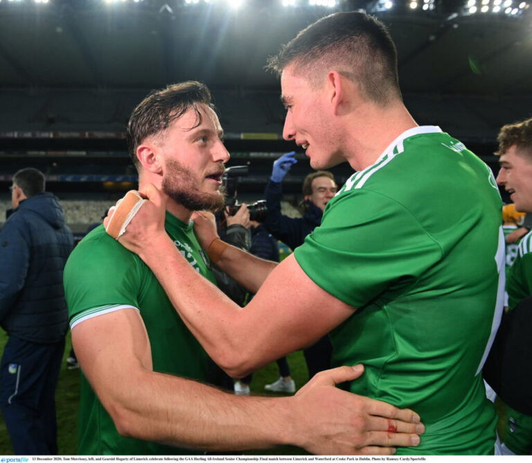 Limerick equal All-Star record with nine awards as Hegarty claims Hurler of the Year gong