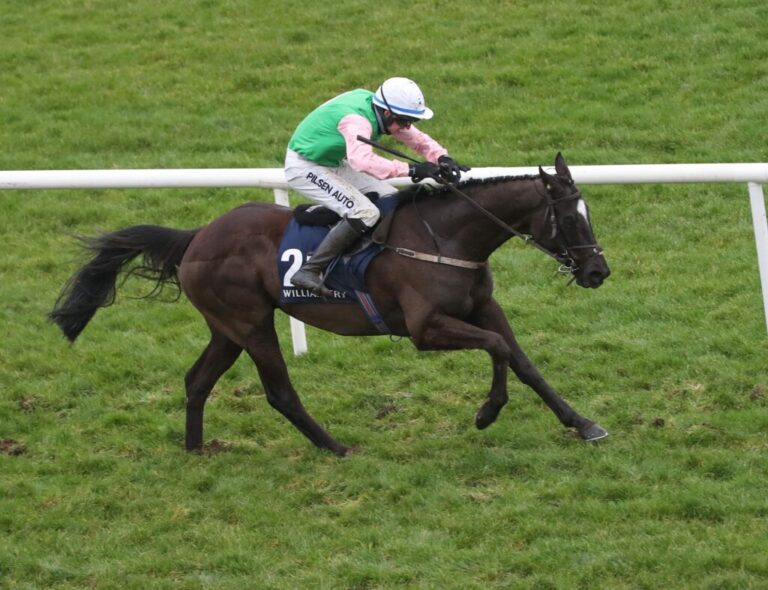 Weekly Racing News: McNamara to the fore at the Dublin Racing Festival