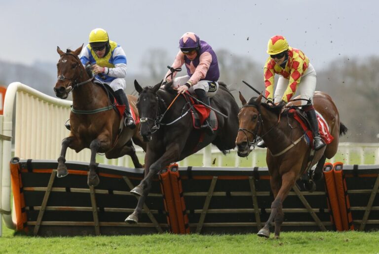 Local winners aplenty at the Limerick Races – Weekly Racing News