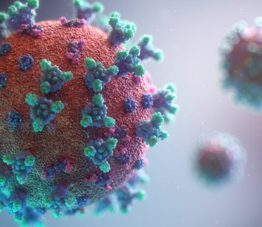 Visualization of the coronavirus causing COVID-19