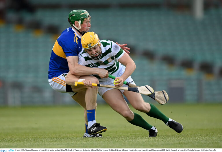 Limerick duo named in Hurling Team of the Week