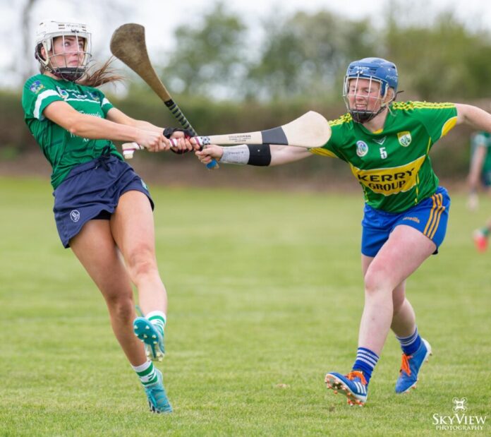 Camogie-1024x911-2.jpg