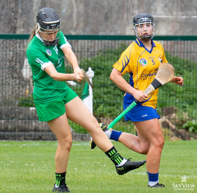 REPORT: Limerick Junior Camogie team bow out to clinical Kerry side in Munster Championship