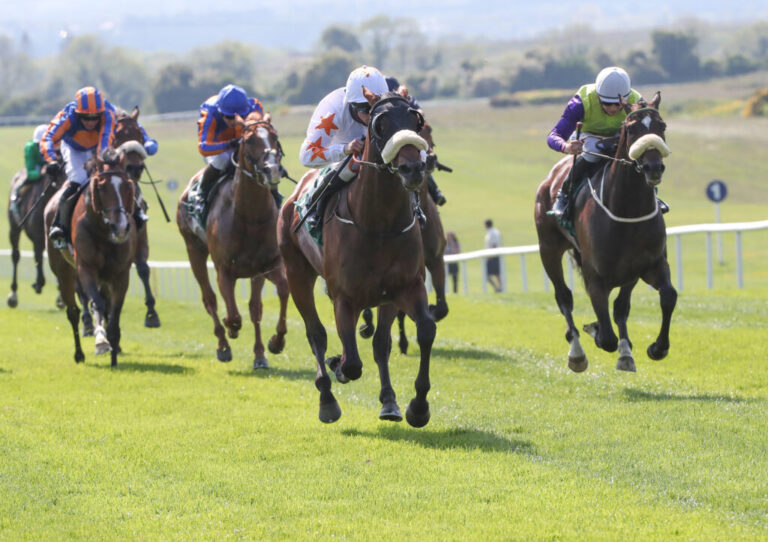 Limerick Racing News: More Success for McNamara & Hayes