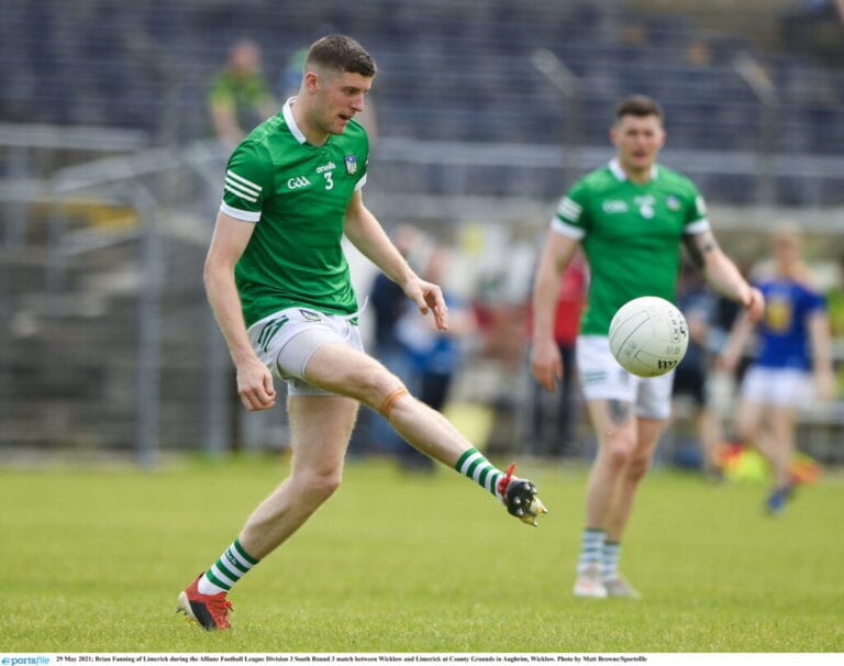 REVIEW: Limerick continue development under Billy Lee just missing out on back to back league promotions