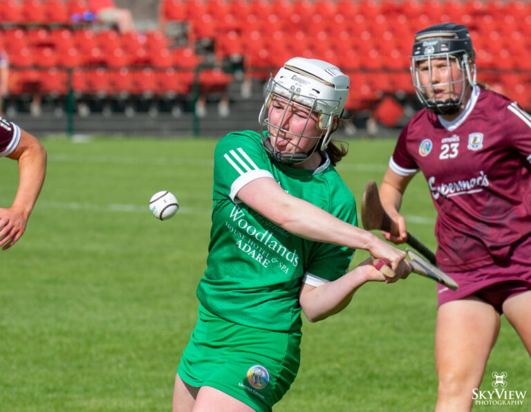 Fixture details confirmed for Limerick’s Division 3 Camogie semi-final with Wexford