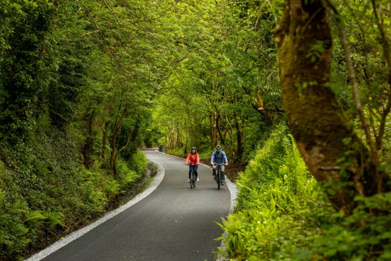 Minister reminded that Limerick Greenway was a long term project