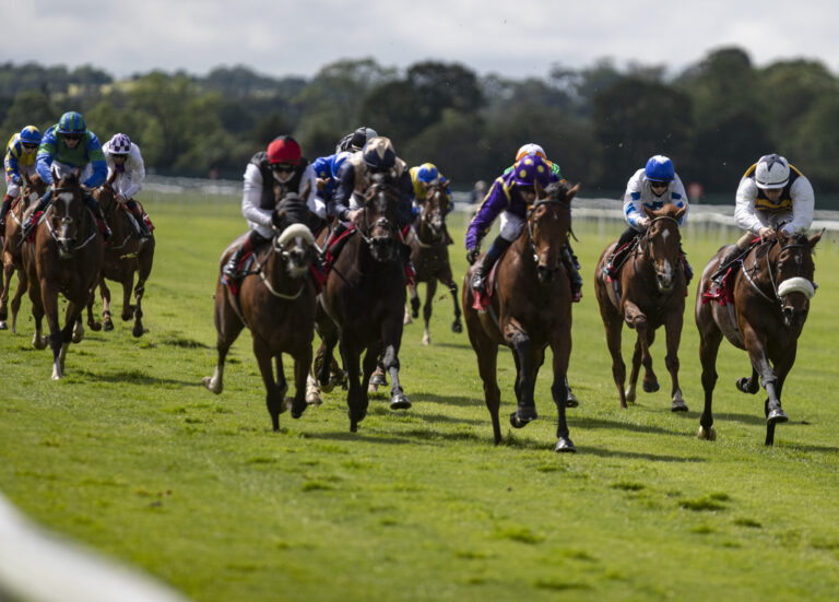 Pythion proves punters right , past racing events and upcoming fixtures
