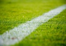 Close-up of a white line on green grass in a soccer field
