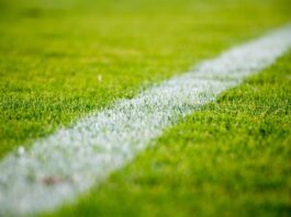 Close-up of a white line on green grass in a soccer field