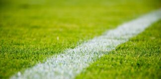 Close-up of a white line on green grass in a soccer field