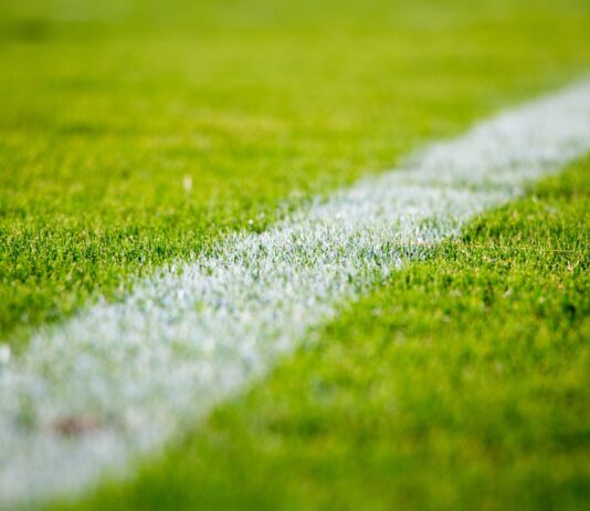 Close-up of a white line on green grass in a soccer field