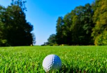 white golf ball on top of green grass field surrounded by green leaf trees