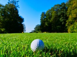 white golf ball on top of green grass field surrounded by green leaf trees