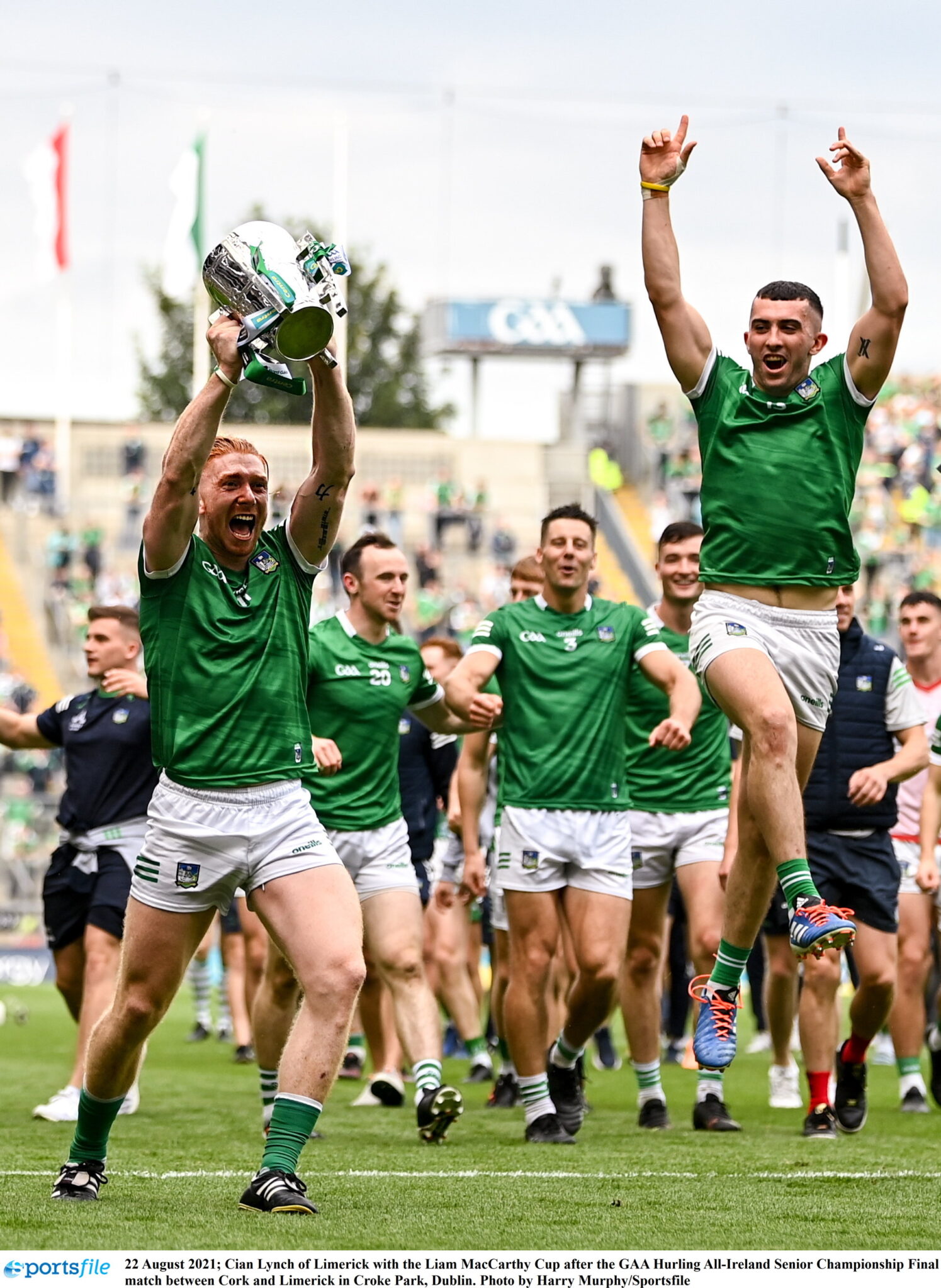 Liam MCCARTHY Cup Хёрлинг