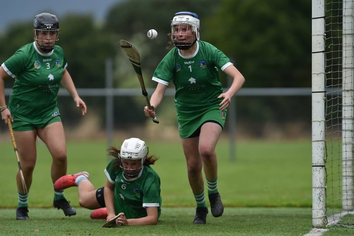 CAMOGIE: Gallant Limerick bow out to Armagh in close quarter-final encounter