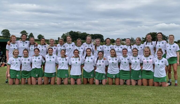 FIXTURE: Details confirmed for a weekend of quarter finals for Limerick camogie teams