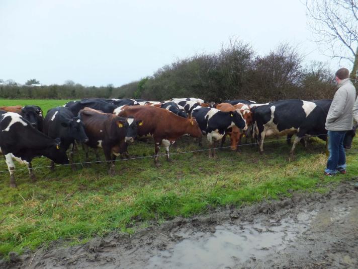 Young farmers frustrated with “misleading”  meetings welcome announcement for changes