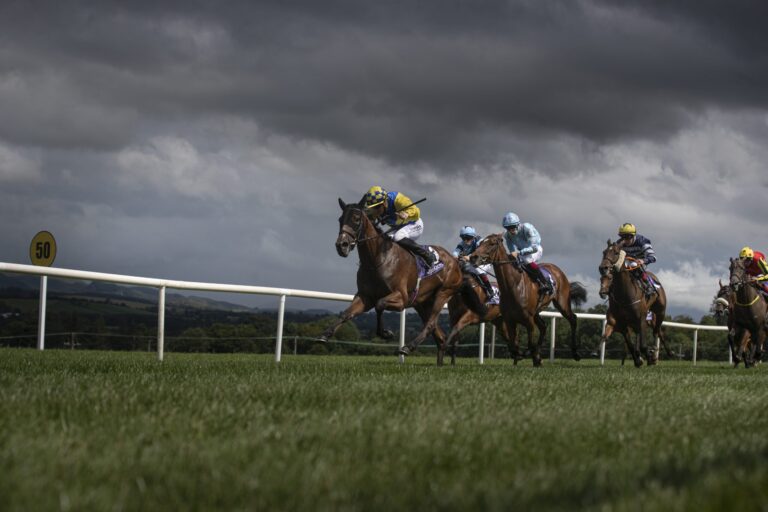 Billy Lee secures Sligo victory | Weekly Racing News