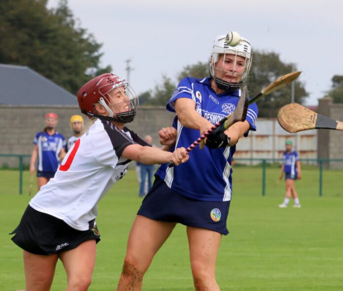 2020-0920-NCW-v-Killeedy-Limerick-Senior-Camogie-Final-0X2A3050-768x651.jpg