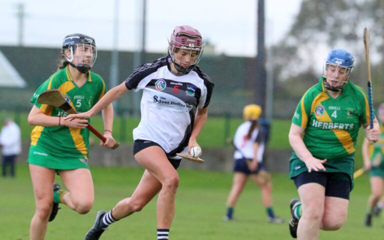 RESULTS: Limerick Camogie Championships kick off across the county
