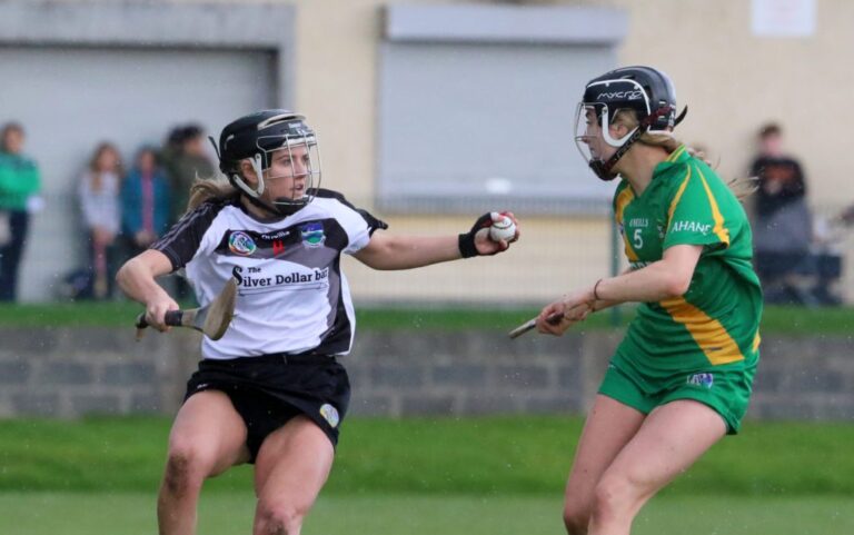 FIXTURES: Limerick Camogie Championship action gets underway this weekend