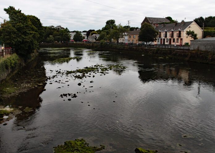 Pollution on the River Deel, Askeaton See Dave Raleigh for Story 5-2