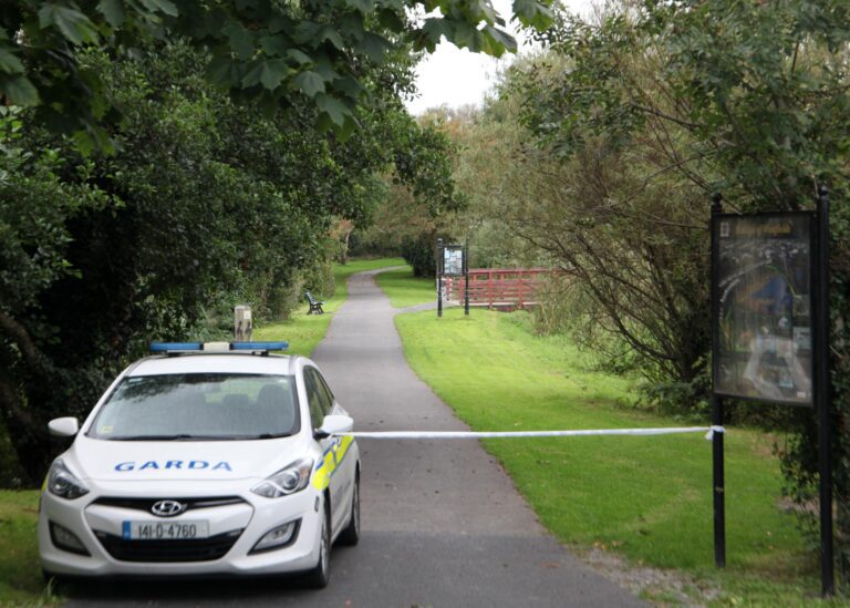 Man to undergo surgery after being found with serious head injuries at Limerick park