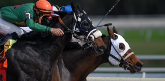 man riding horse