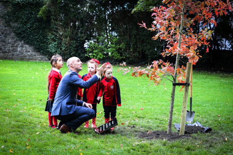 Tree in People’s Park to commemorate lives lost to pandemic