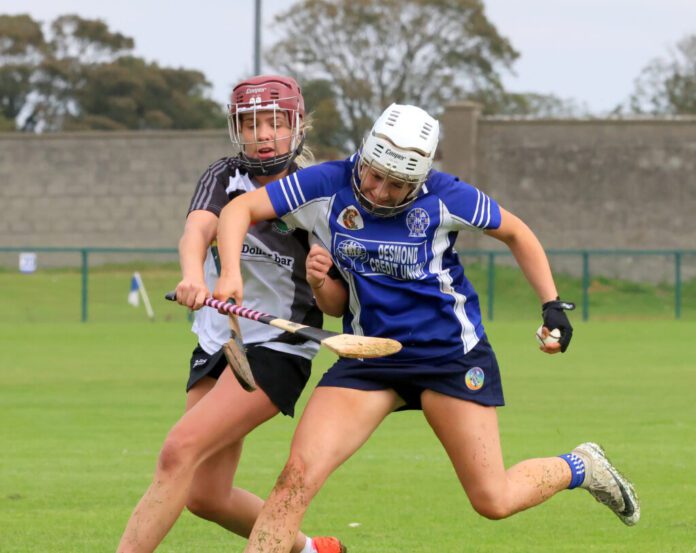 2020-0920-NCW-v-Killeedy-Limerick-Senior-Camogie-Final-0X2A3039-1024x813.jpg