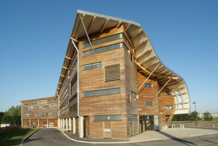 University of Limerick study reveals link between Crohn’s disease and gut fat