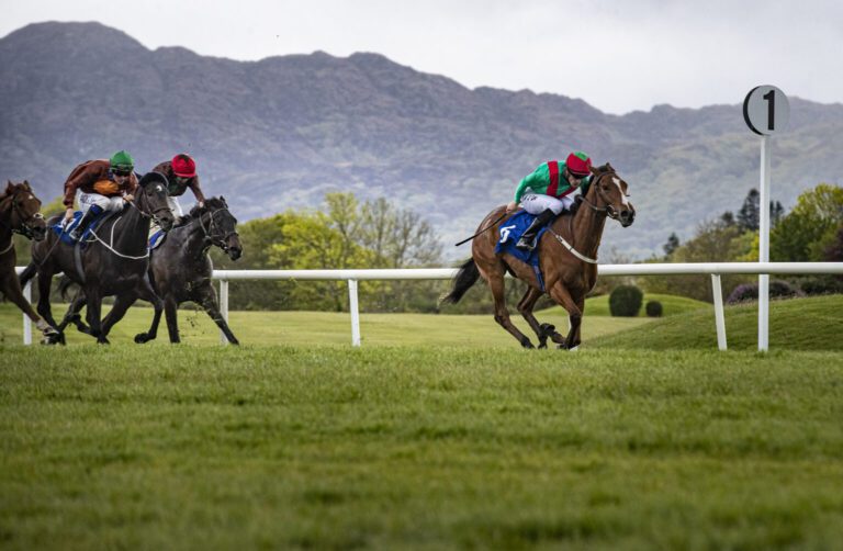 Billy Lee edges closer to 50-winner mark | Weekly Racing News
