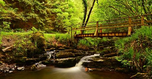 Ballyhoura