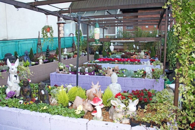 Good value and a great cause at Enable Ireland Garden Centre