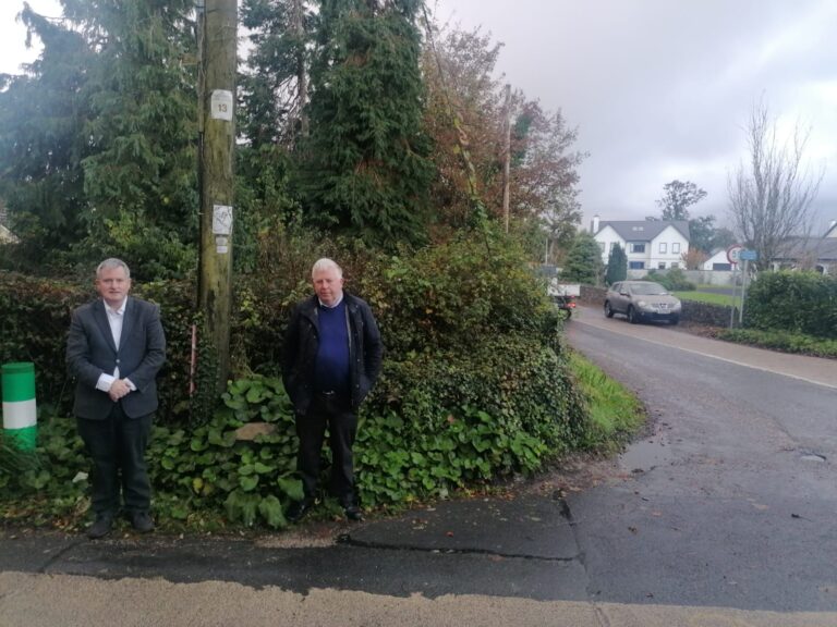 Major safety works to be carried out at “dangerous” Castleconnell junction