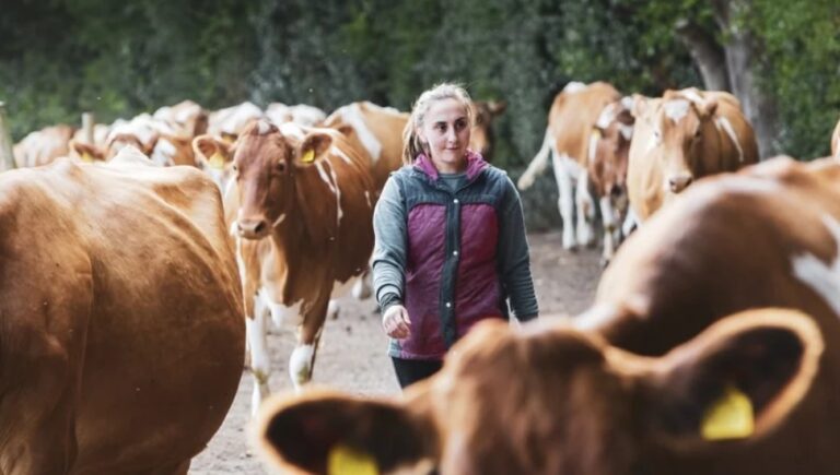 Limerick TD speaks of “Important” promotion of gender equality in farming