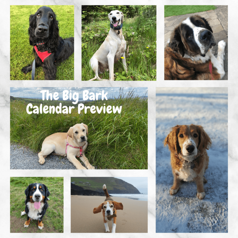 The Power of the Paw to be celebrated in Limerick podcast dog calendar