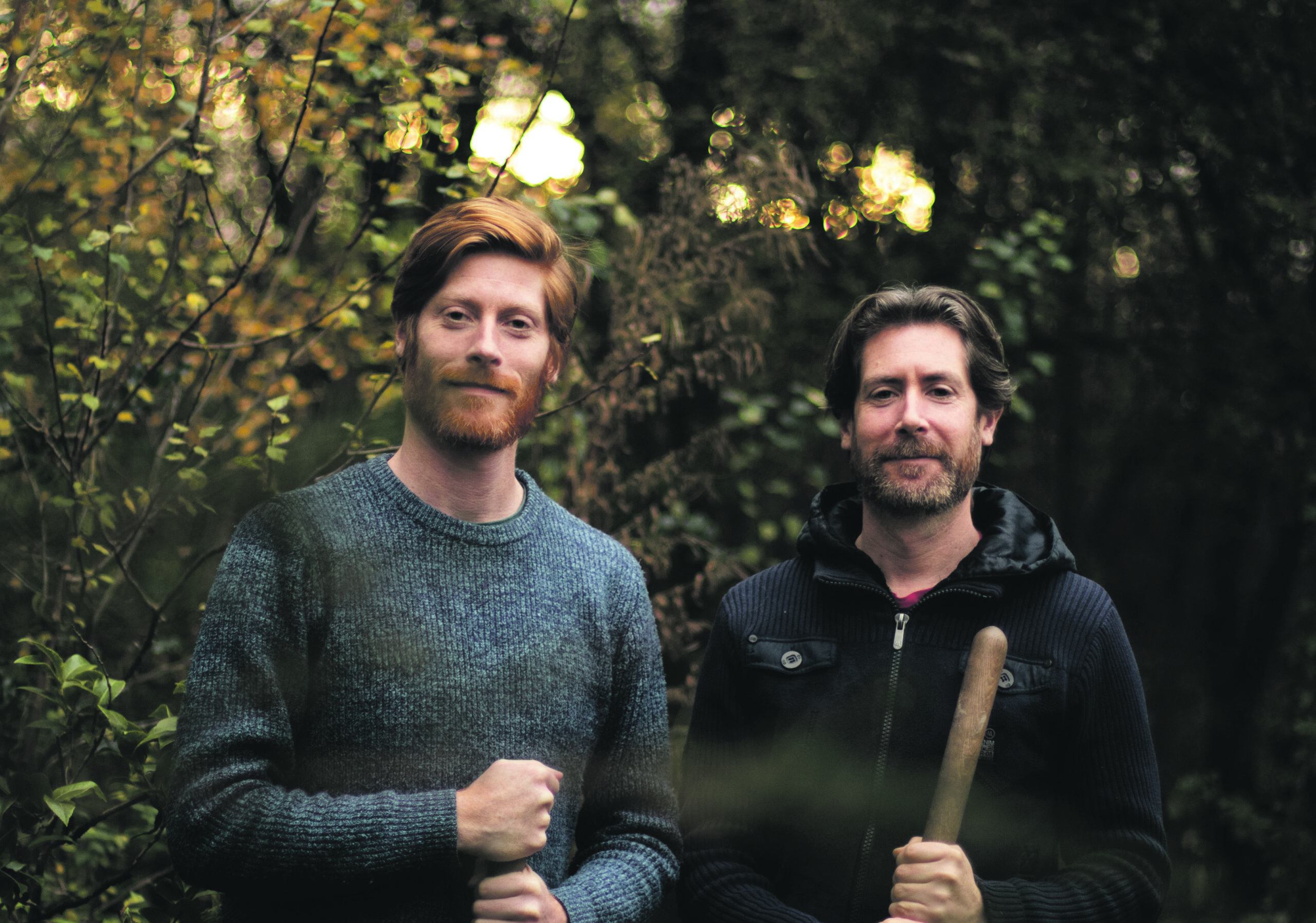 Limerick brothers are combatting climate change with tiny forests - Limerick Post