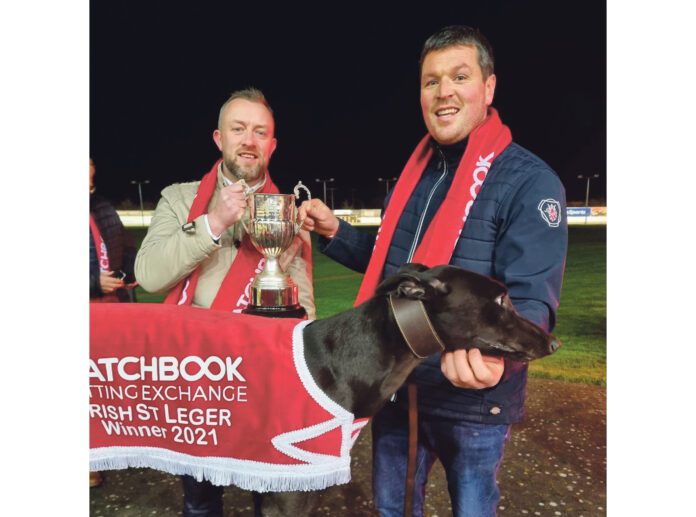 Greyhound Pic